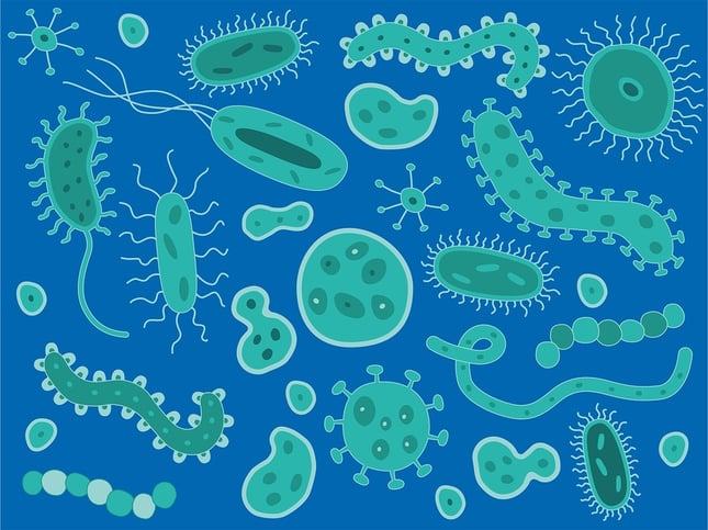 flu, commercial cleaning, cleaning for health, cross-contamination, michigan commercial cleaning company flu, commercial cleaning, cleaning for health, cross-contamination, michigan commercial cleaning company