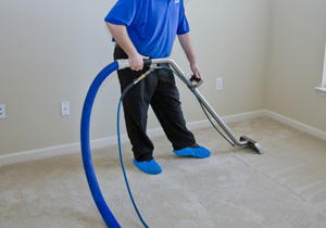 Things to Look For In Carpet Cleaning Services