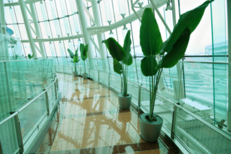 Going Green Cleaning Doesn't Have To Be Tough