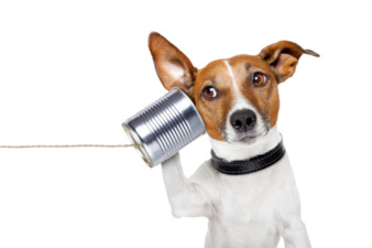 You Can Talk To Me