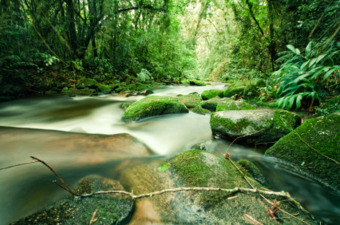 Implement Sustainable Practices For A Healthy Work Environment