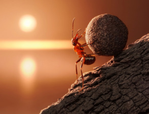 Becoming More Effective by Pulling Back