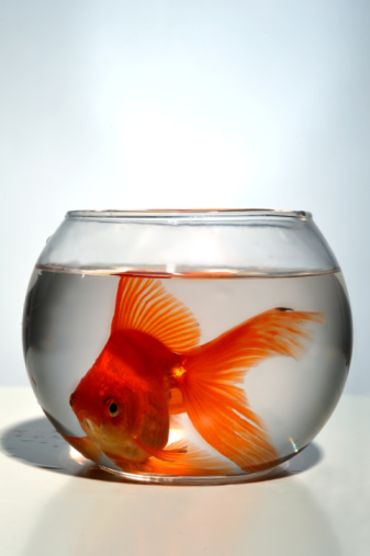 Bigger Isn’t Always Better: Local vs. National Janitorial Companies
