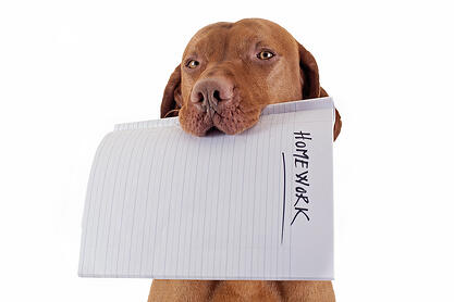bigstock-The-Dog-Ate-My-Homework-42642301