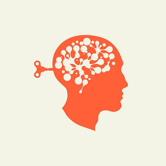 thin slicing brain leadership decisions 