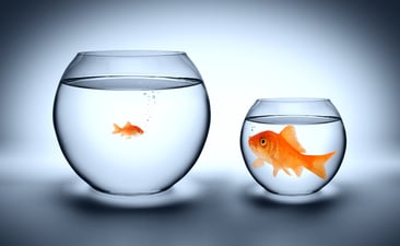 Have You Outgrown Your Commercial Office Cleaning Service?