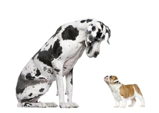 How&nbsp;National Cleaning Companies&nbsp;&&nbsp;Local Cleaning Companies&nbsp;Compare