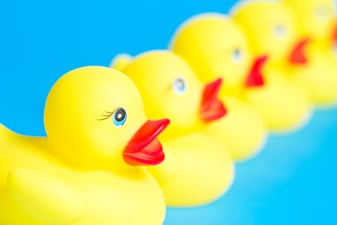 Does Your Office Cleaning Company Have Their Ducks In A Row