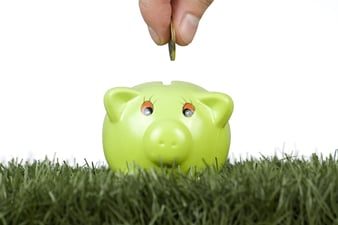 Save Money With A Commercial Carpet Maintenance Program