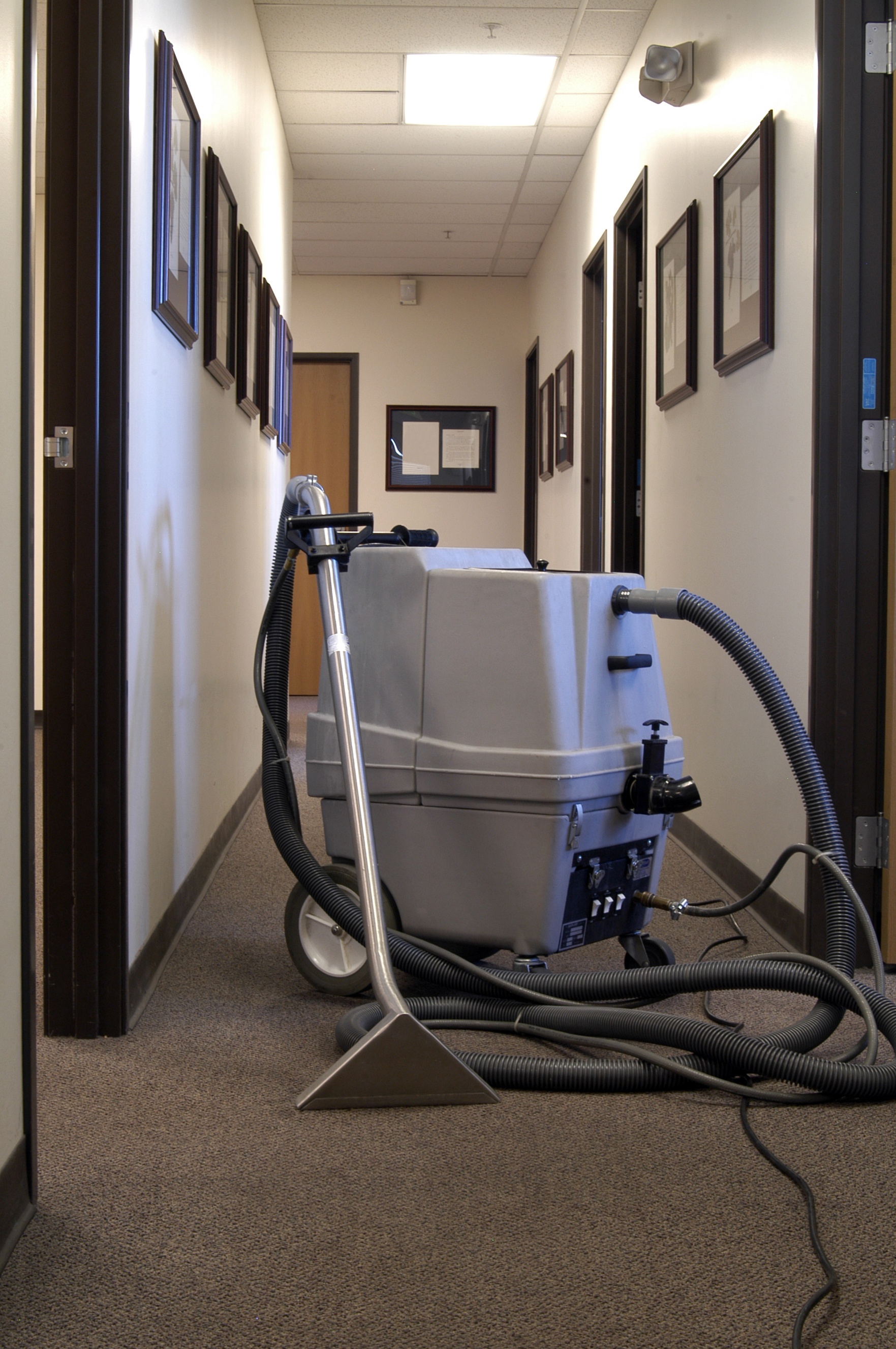 High Traffic Area Carpet Cleaning High Traffic Carpet Care