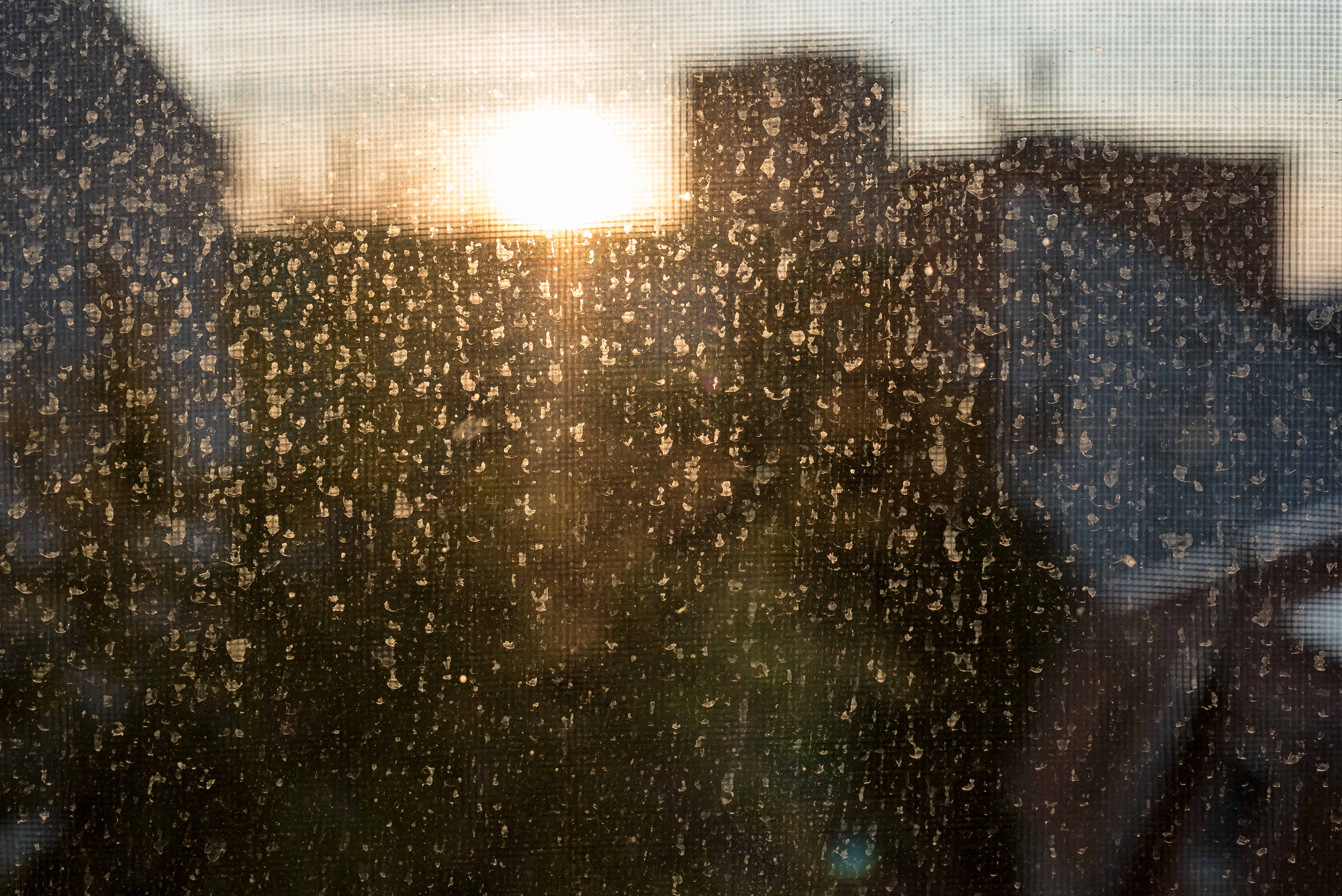 Dirty Office Building Window