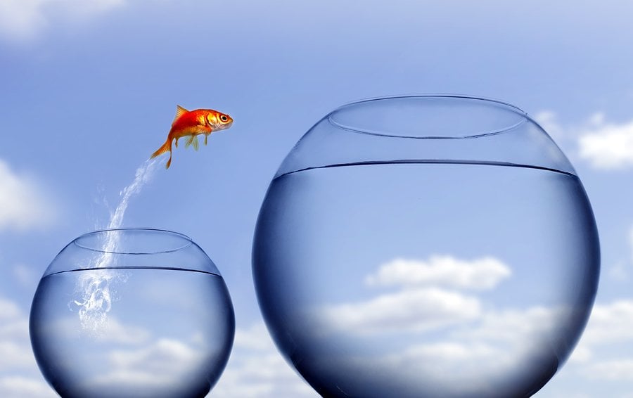 leadership change adaptability lifelong learning flexibility