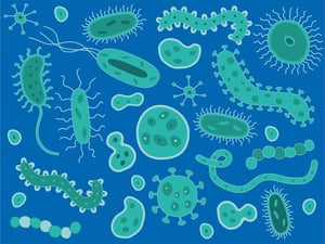 Flu and Cross Contamination: Key Janitorial Service Tips