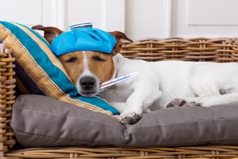 Is Your Office Cleaning Company Making You Sick?