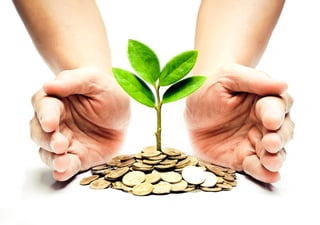 Are Green Janitorial Services The New Norm?